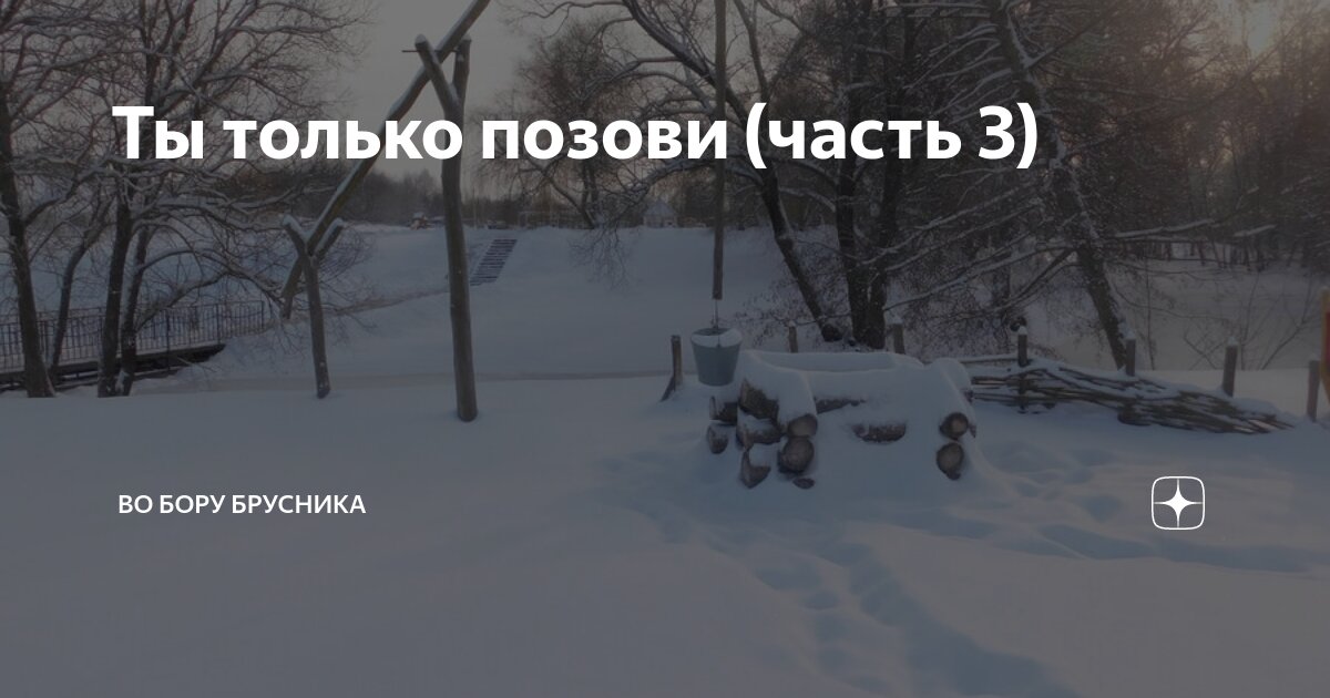 Во бору брусника на заснеженной тропе 73