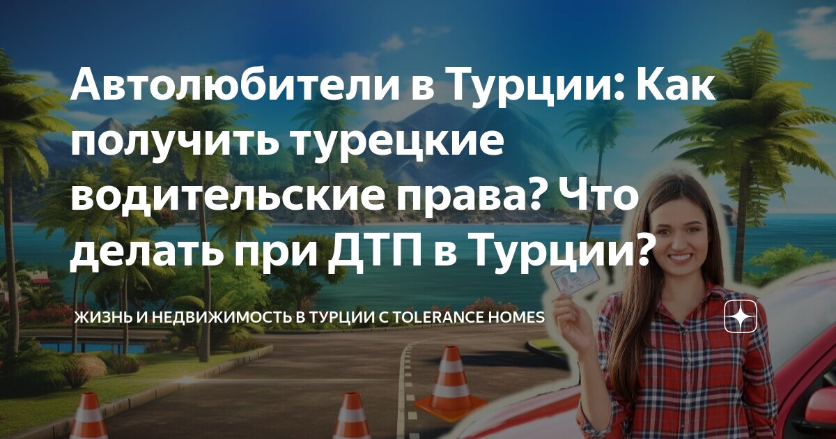 Турция получила