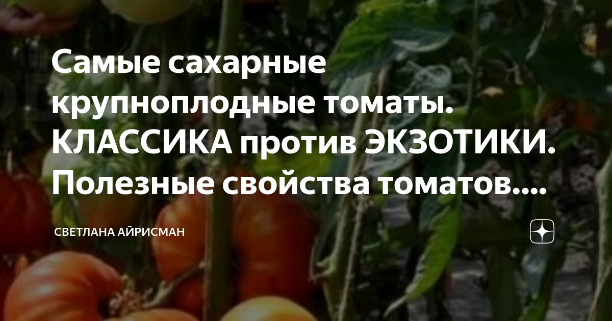 Самые сахарные крупноплодные томаты. КЛАССИКА против ЭКЗОТИКИ. Полезные ...