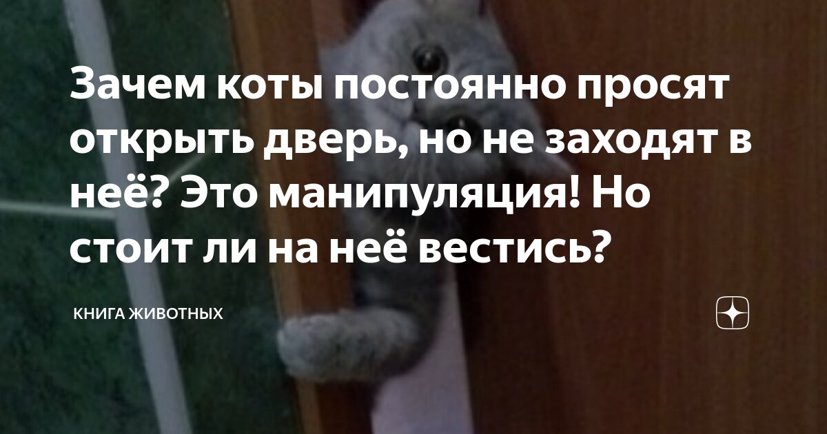 Стояли зывери коло двери. Стругацкие жук в муравейнике. Стояли звери около двери. Стояли звери около двери стругацкие. Стояли звери около двери стругацкие.