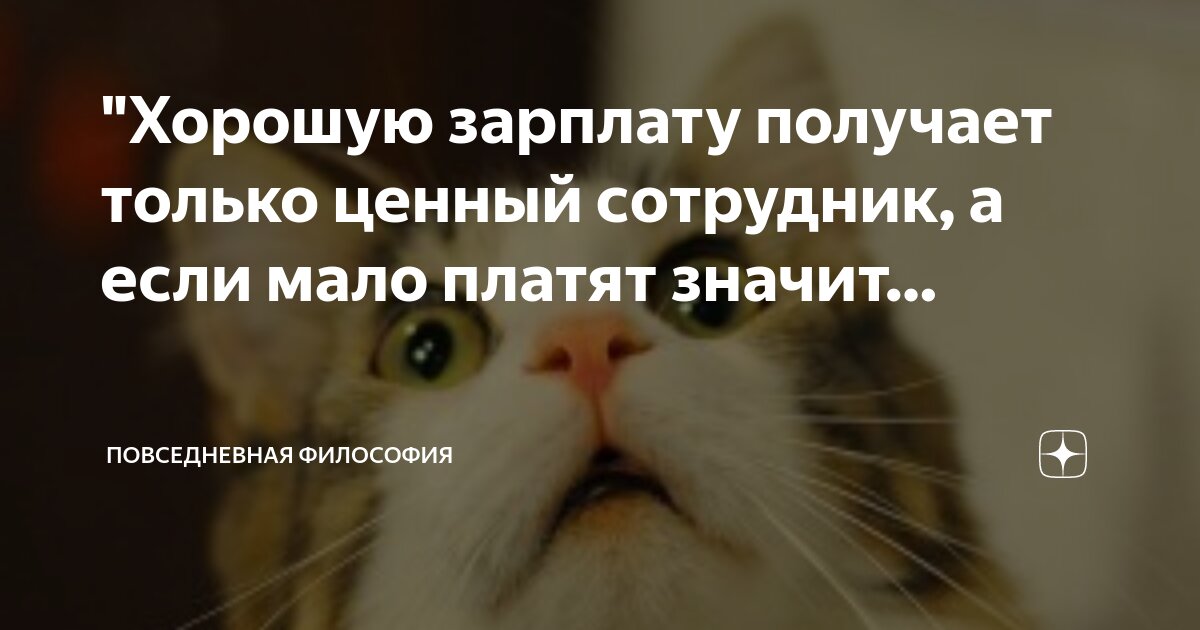 обязанности работника библиотеки. идеи для фотосессии коллег. квалификационная характеристика работника. посты работника. собеседование.