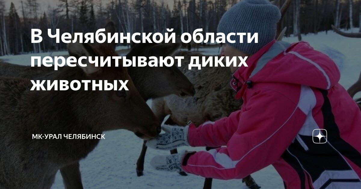 экология животных. педагогическое послание профессиональному сообществу. значение леса для человека. природа для дошкольников. экология лесных животных исследовательская работа.