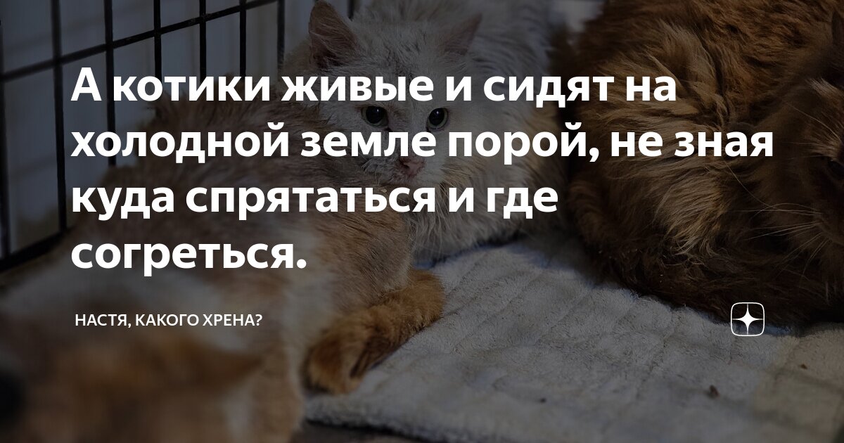 Холодно дома. Сидеть в холоде. Холод в квартире. Люди мерзнут в квартирах. Моржевание закаливание.