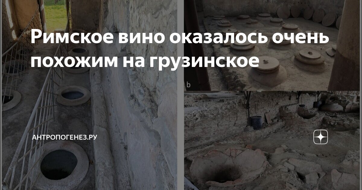 Римское вино оказалось очень похожим на грузинское | АНТРОПОГЕНЕЗ.РУ | Дзен