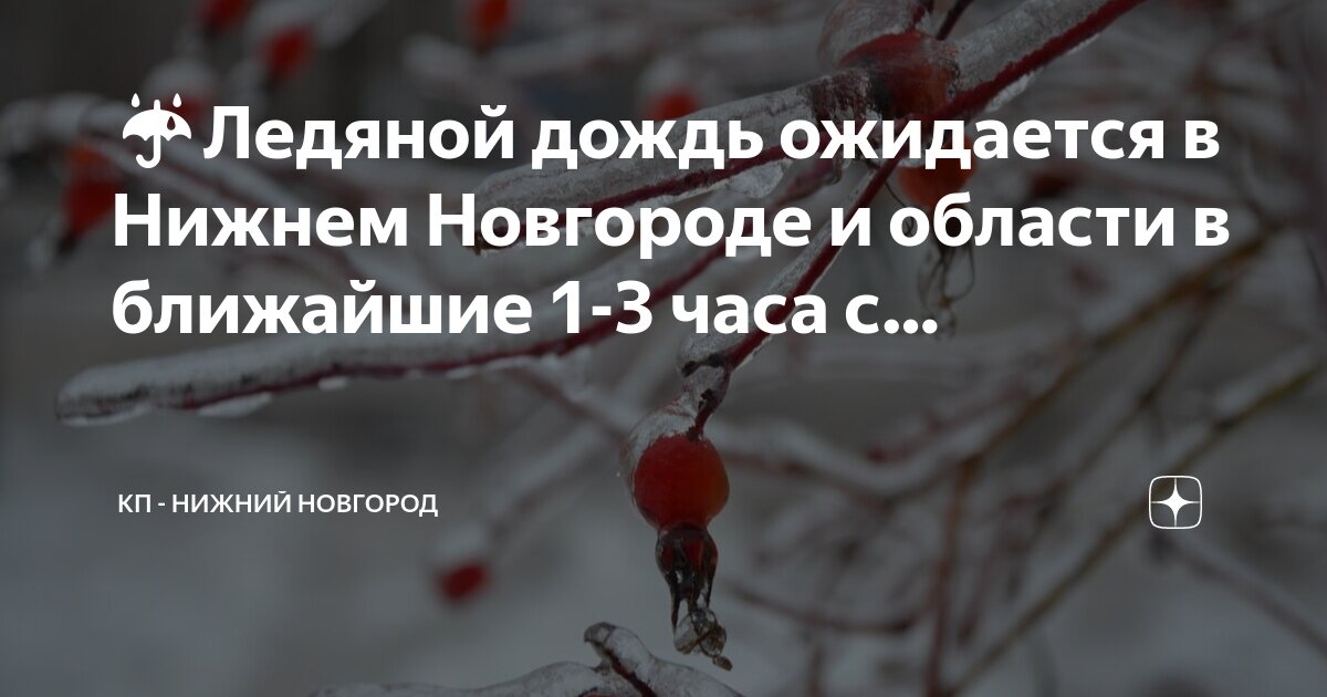 час дождя. час дождя. проливной дождь. дождь летом. час дождя.