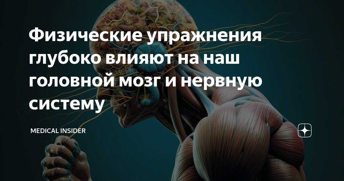 Роль нервной системы при занятиях физическими упражнениями. Влияние тренировок на нервную систему. Умственная и физическая нагрузка. Нервная система человека. Влияние физических упражнений на нервную систему.