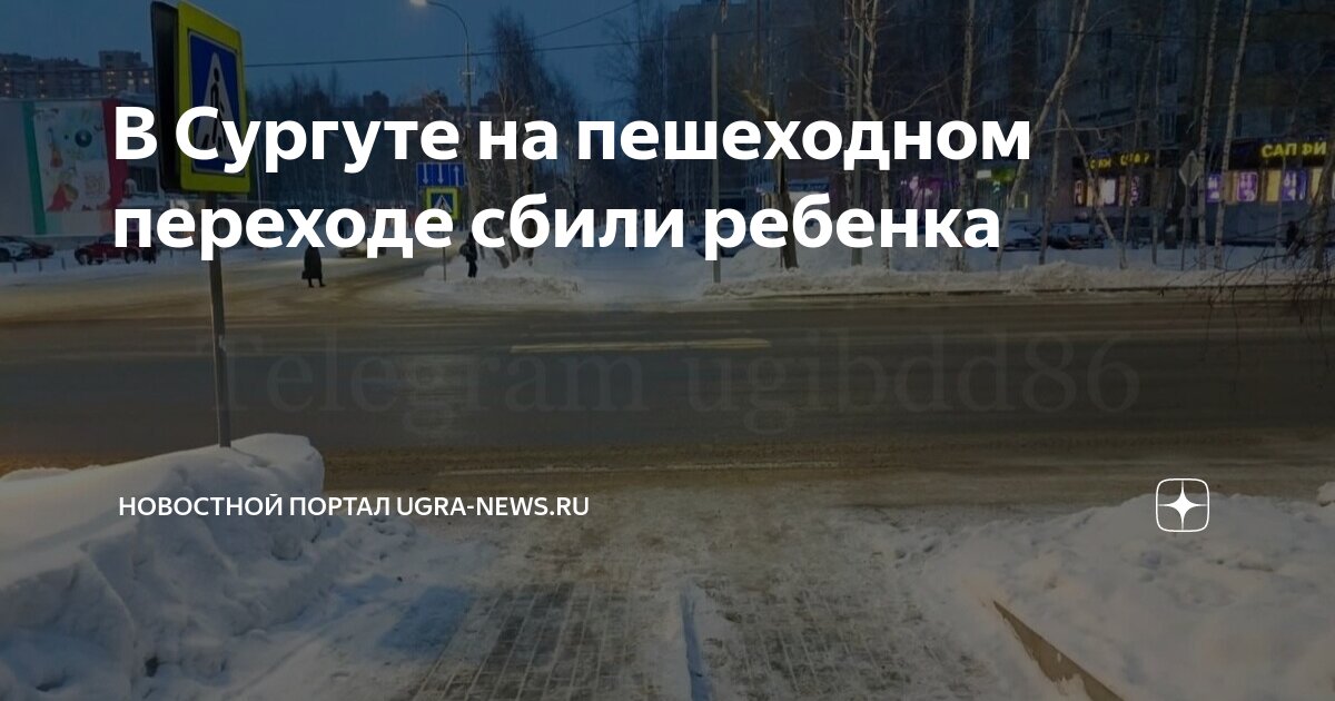 будапештская димитрова перекресток спб. наезд на пешехода ст. мазина сбивает человека. штраф за сбитого человека на пешеходном переходе. наезд на пешехода статья.