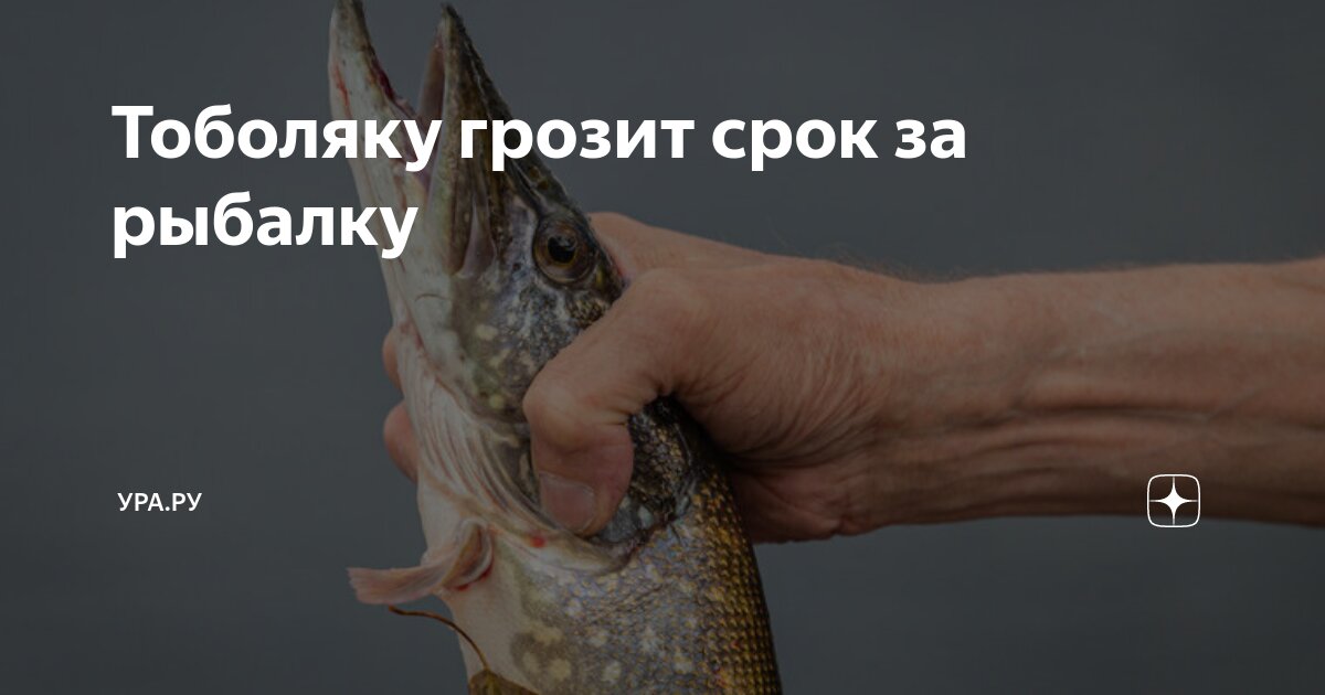 центр рыболовства. сахалинская рыбка поронайск. рыбацкий магазин. рыболовная школа. центр рыболовства.