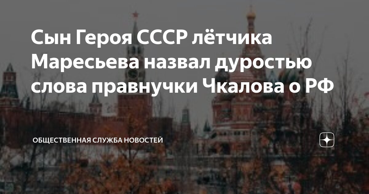 Сын летчика. Сын полка картинки. Семья военнослужащего. Сын пилот. Летчик ребенок фотосессия.
