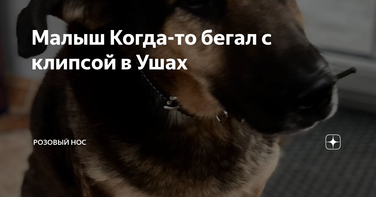 Схема промывки носа. Почему бежит нос. Текут сопли лекарство. Почему бежит нос. Из носа течёт жидкость.