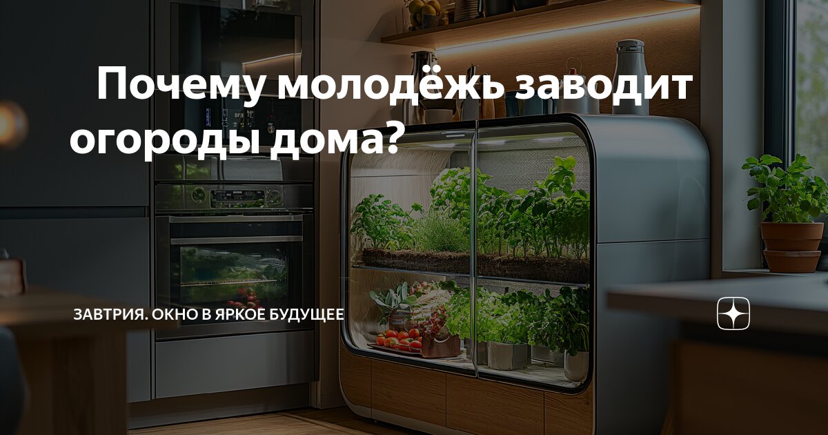 Типы сельского хозяйства. Искусственные экосистемы агроценозы. Почему каждому потребителю сельскохозяйственных. Почему каждому потребителю сельскохозяйственных. Почему каждому потребителю сельскохозяйственных.