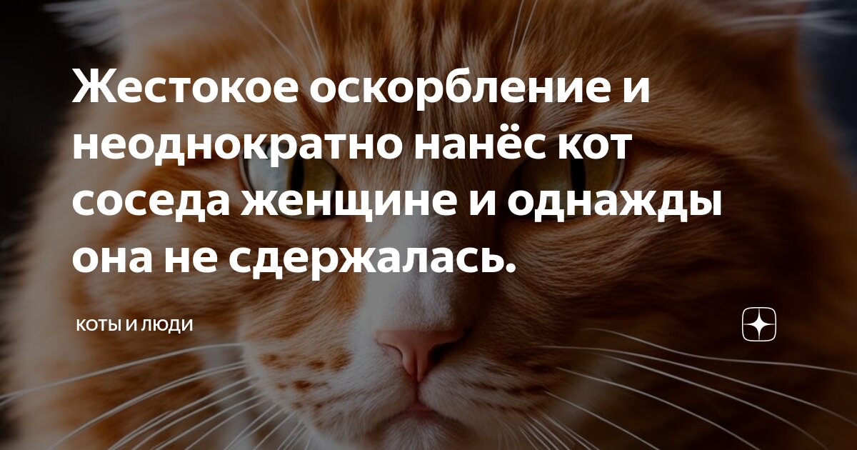 соседский кот метит дверь