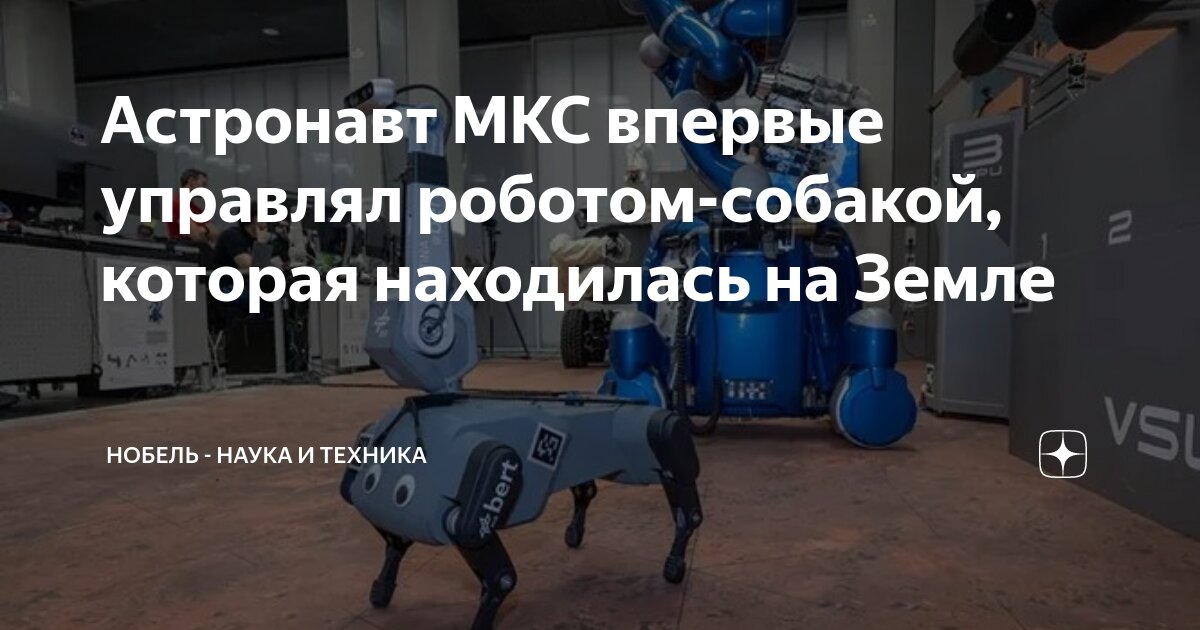 Роботы управляемые человеком. Роботы управляемые человеком