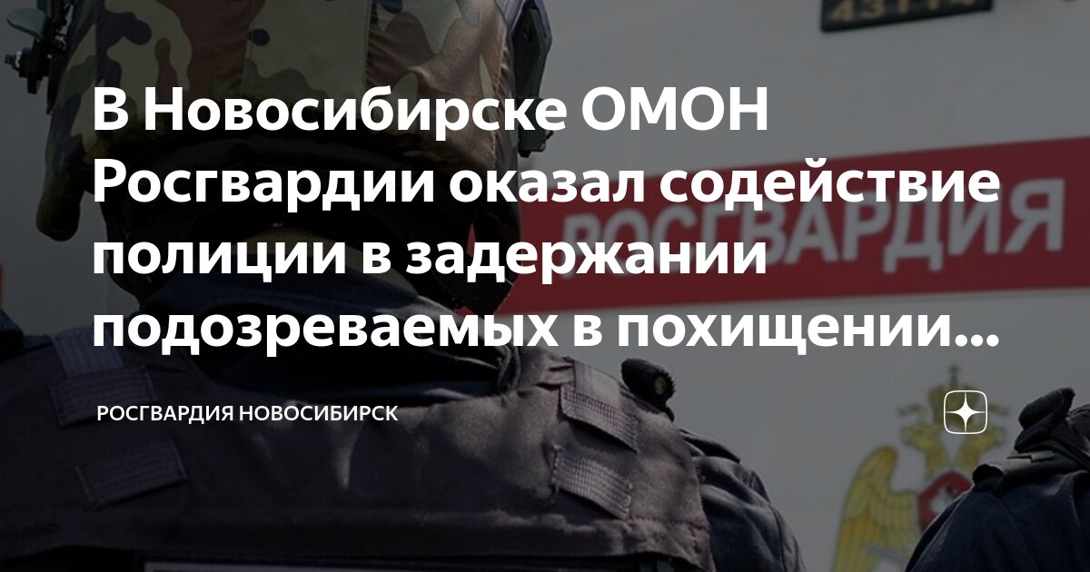 Полицейские новосибирска