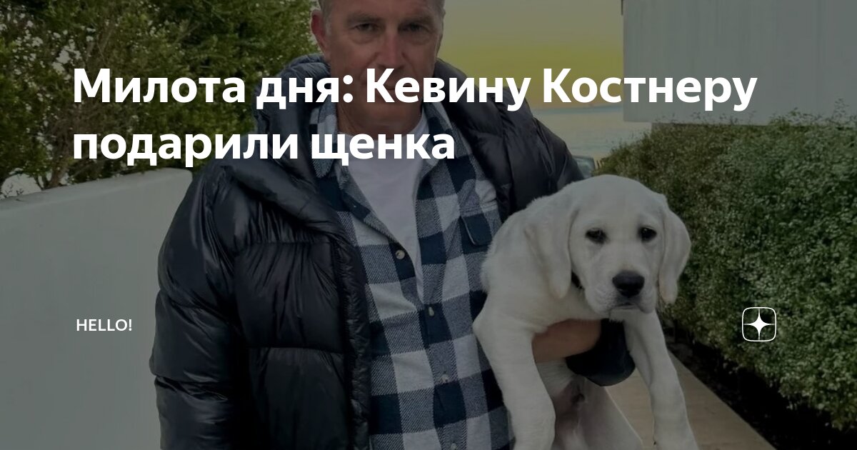 Красивый куни красивой девушке. 69 становись. 69 вертикально. 69 становись. 69 становись.