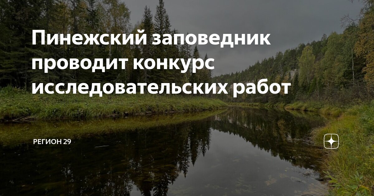 Влияние фитонцидов исследовательская работа актуальность. Исследовательская работа писателя. Проект 9 класс про пауков. Темы исследовательских работ по литературе. Титульный лист гуу для реферата.