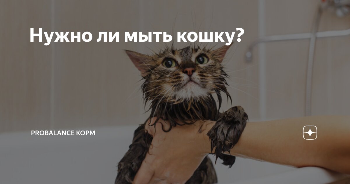 профессия врач. почему важно знать свои права. когда я вырасту хочу стать врачом. слайды по профессиям. сочинение кем хочу стать.