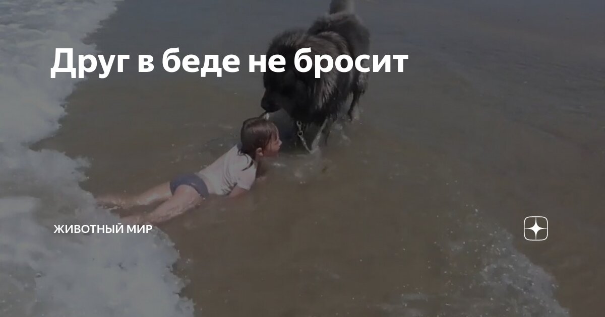 нам надо перестать общаться. прекратить общение. так хочется общения. просто перестали общаться. не хочу общаться с людьми.