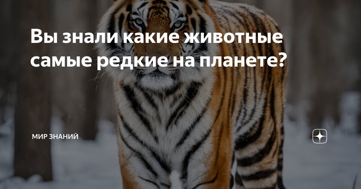 каких животных вы знаете