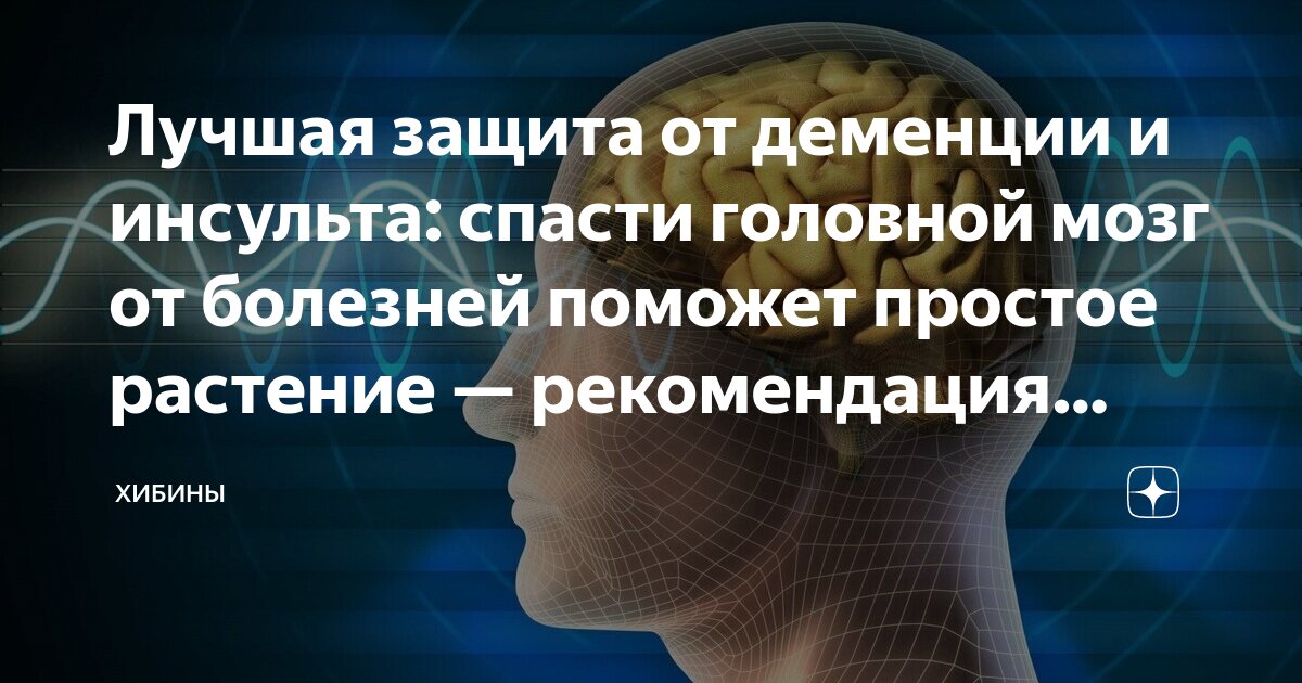 0,2г 40 (эвалар). Д/рассас 300мг №60. Таблетки для улучшения мозгового кровообращения. Лекарственные препараты при нарушении мозгового кровообращения. 0,2г 40 (эвалар).