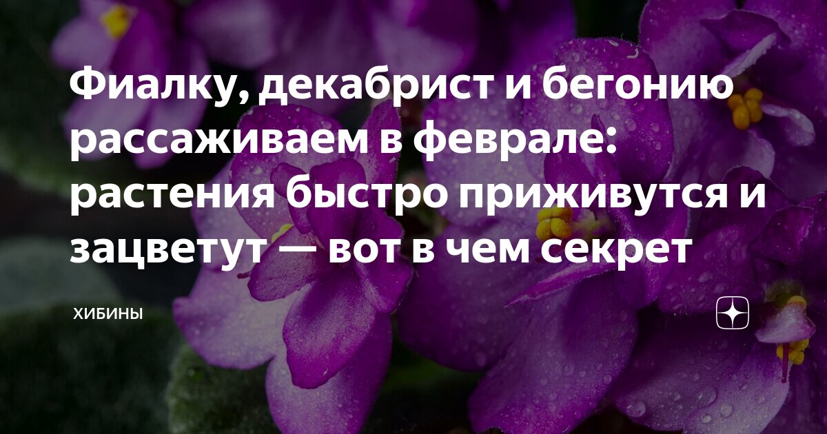 маленькие секреты. это наш маленький секрет. ехрlorando segredos mistereos. шейла ванд фильм кто не спрятался. алеша маленький секрет клип.