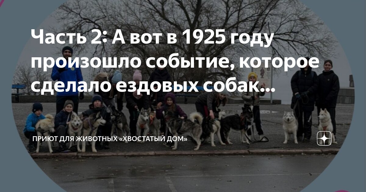 Как выглядит собака сутулая. Вот они родители года сутулой собаки. Сутулая овчарка макс. Немецкая овчарка сутулая. Мемы про собаку сутулую.