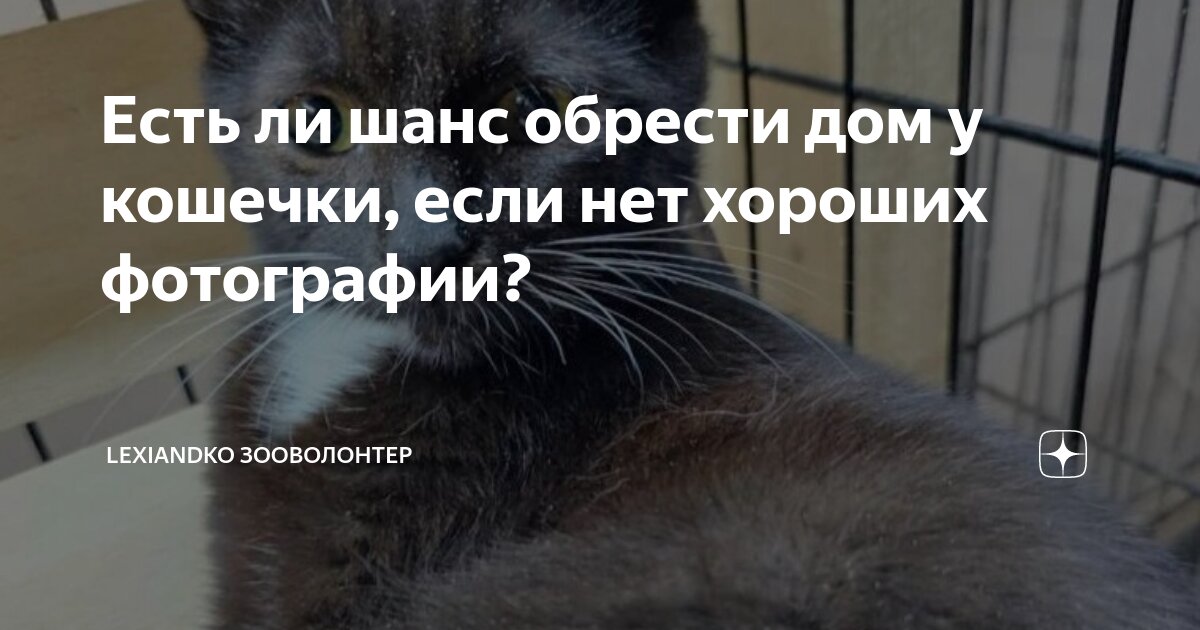 Мужчина и женщина цитаты. Смешные картинки с надписями. Почему девочки не пишут первыми мальчикам. Хочу счастья. Если она у.