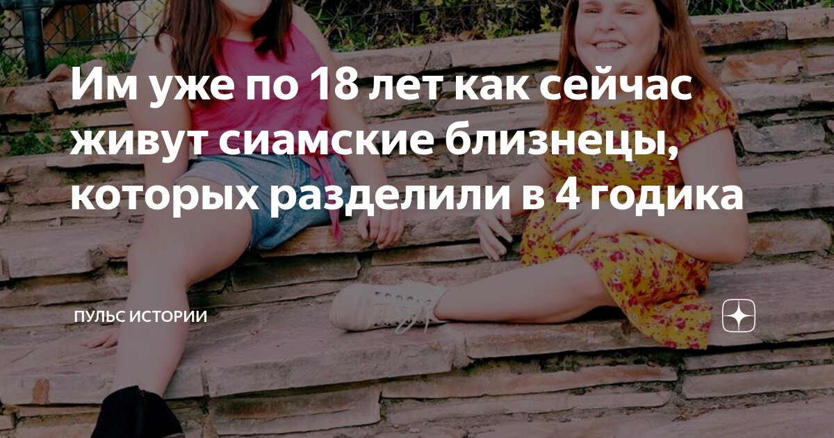 драконы воды. гороскоп года. близнецы характер мужчины. символ дракона. год дракона характеристика.