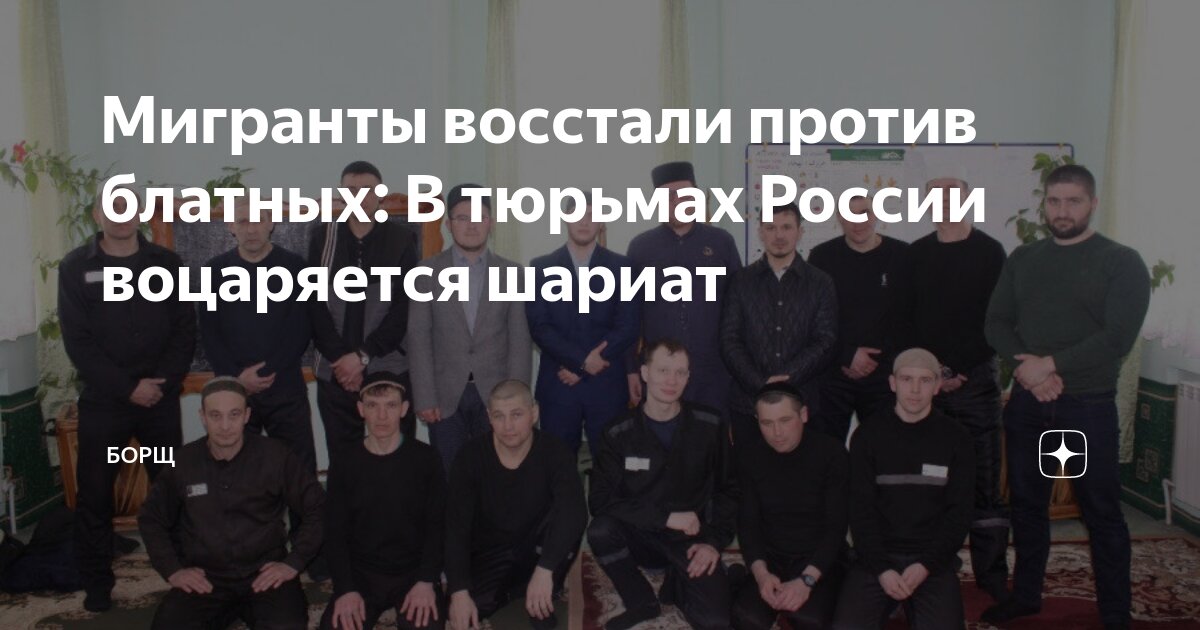 2015 год миграция беженцев в германии. таджикские мигранты. трудовая миграция кыргызстанцы в москве. рассказы мигрантов. рассказы мигрантов.