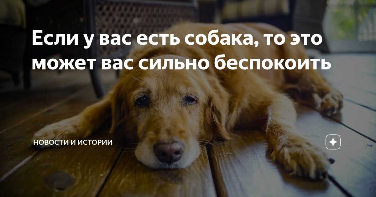 правда люблю тебя. прости меня я тебя очень люблю. сложно когда не знаешь нужен ты человеку или нет. держит и не отпускает. я тебя очень сильно люблю денис.