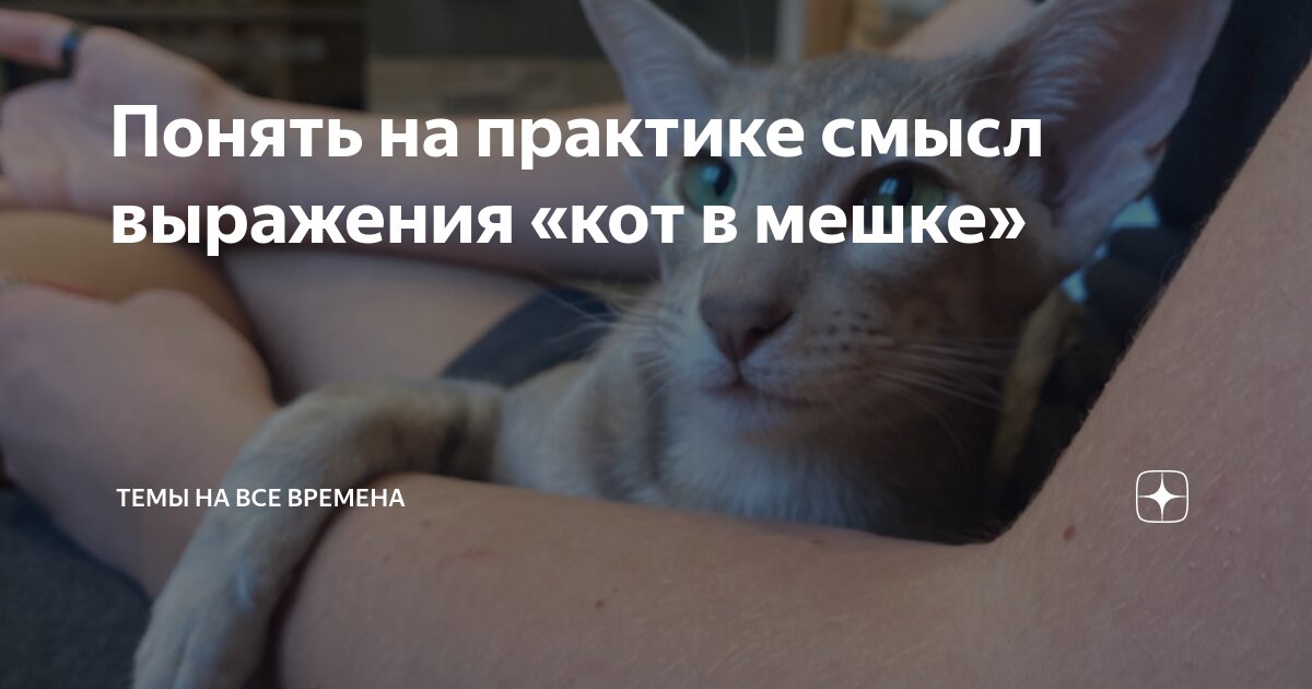 Загадка про министра для детей. Пустой мешок не стоит смысл. Мешок историй. Мешок для презентаций будто из него высыпают. Пустой мешок не стоит смысл.