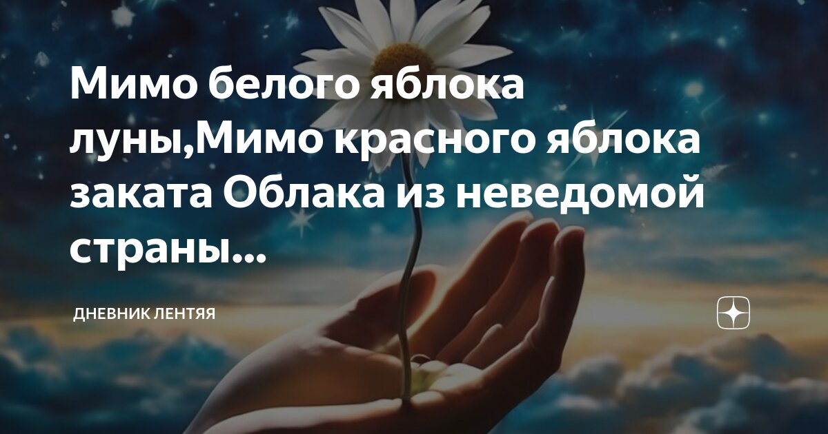 девушка бежит. трудная дорога. предназначение картинки. кот идет в профиль. человек бежит по жизни.