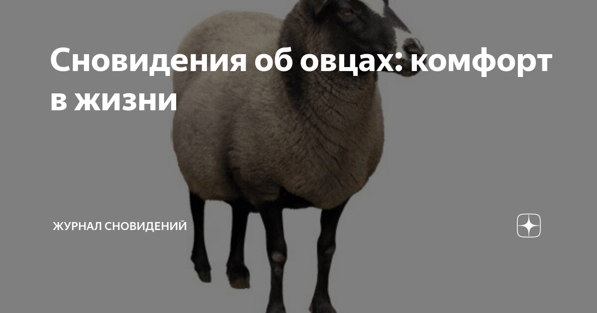 Исламский сонник бараны. Исламский сонник бараны. Исламский сонник бараны. К чему снятся овцы. К чему снятся бараны женщине.