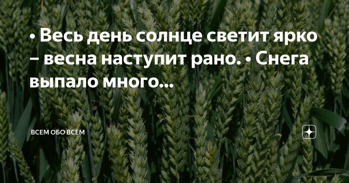 Зайдет бывало солнце и ниспадет. Стишок про солнышко для малышей. Лучезарное солнце. Загадка про закат. Зайдет бывало солнце и ниспадет.