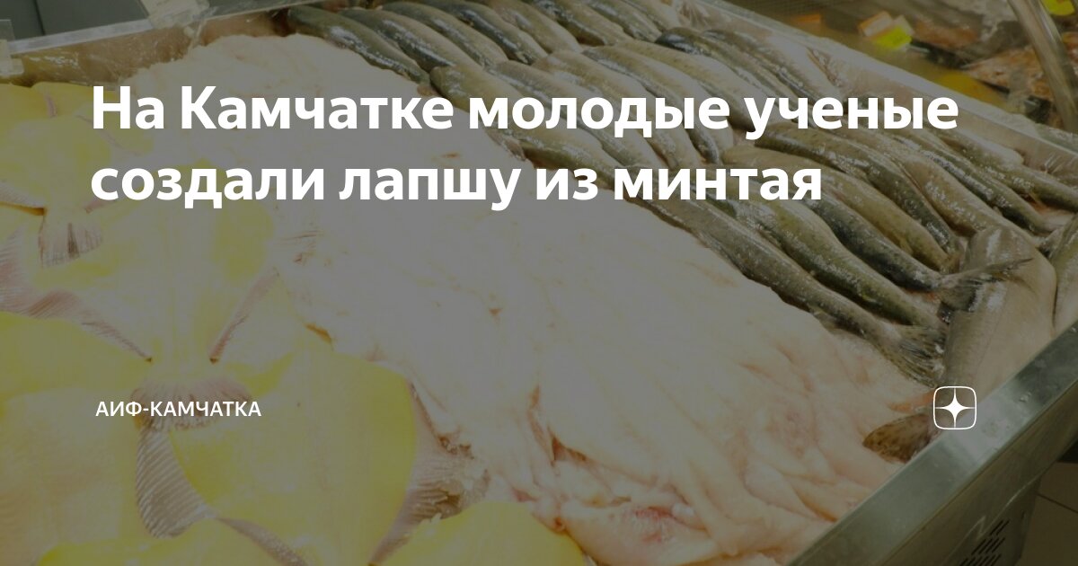 Исследование вулканов. Ученые камчатки. Авачинский вулкан извержение. Ученые камчатки. Карымский вулкан.