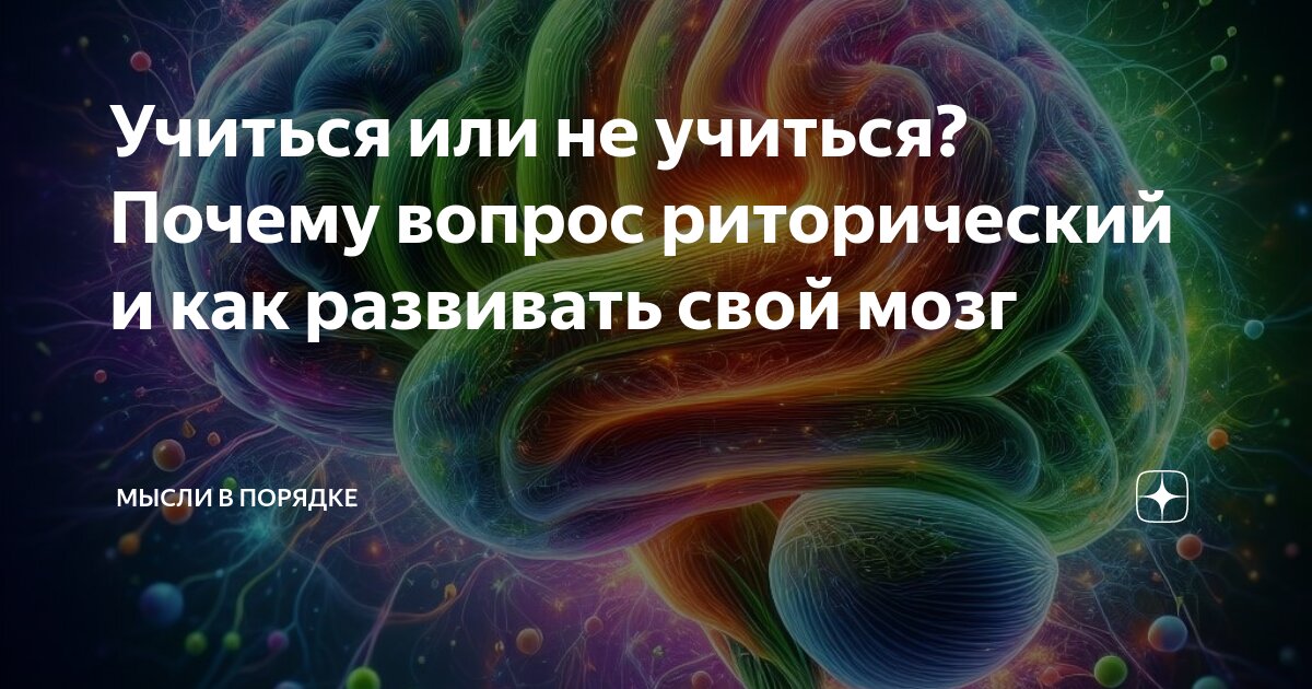 Памятка как не опаздывать. Не идти в школу мем. Что делать если ребенок не хочет в школу. Отговорки в школу. Отмазки от школы от учителей.