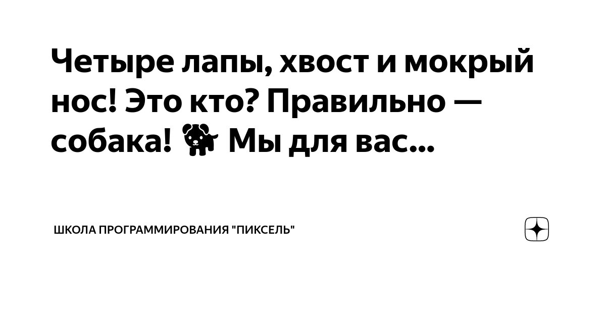 Мокрый нос зоомагазин лого. Конкурс четыре лапы. Четыре лапы влажный нос и очень умный взгляд. Канал четыре лапы влажный нос. Канал четыре лапы влажный нос.
