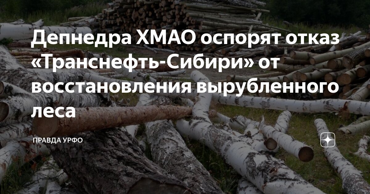 Особо охраняемые природные территории хмао-югры. Департамент недропользования и природных ресурсов. Департамент недропользования ханты-мансийск конференц зал. Карта природных ресурсов хмао. Департамент недропользования и природных ресурсов.