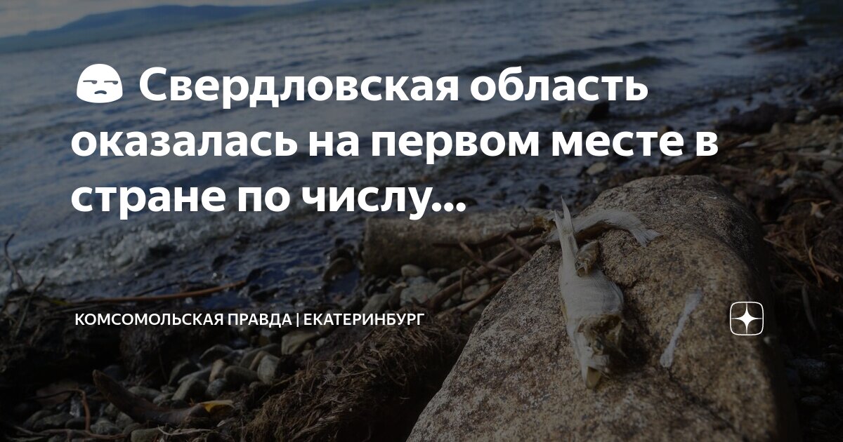 оправдываться цитаты. цитаты чапаев и пустота пелевин. они оказались на своих местах. они оказались на своих местах. мудрые высказывания о счастье.