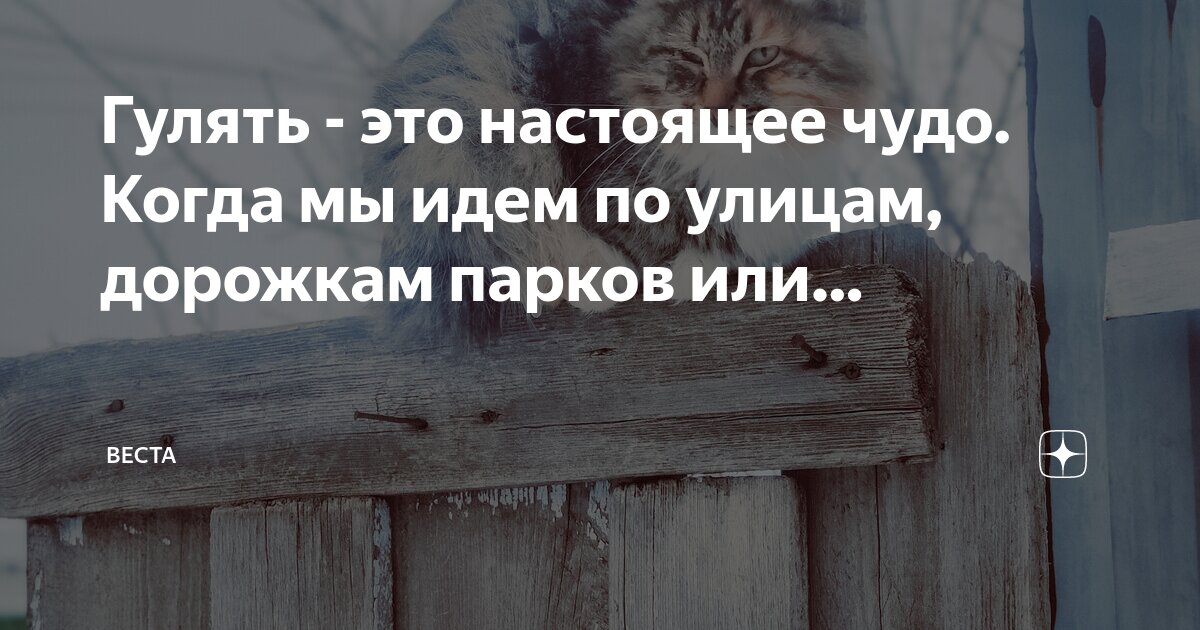 мальчик в лесу рисунок. я шел по лесной дорожке вдруг. текст я шел по лесной дорожке в деревню. я шел по лесной дорожке вдруг. стих про лес 3 класс.