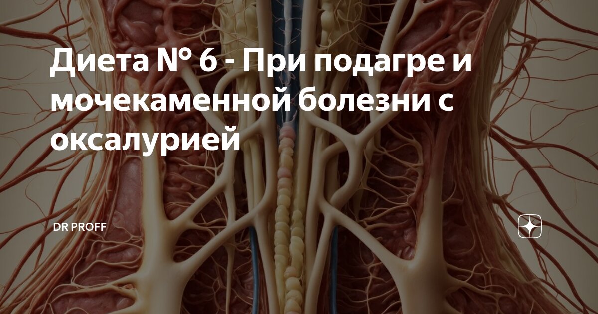 очищение селезенки в домашних условиях — 14 рекомендаций на tarlsosch.ru