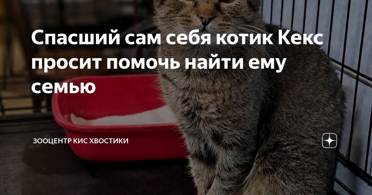 не ласково. юмор анекдоты. анекдоты про любовь. зимнее солнце не ласково. как ласково назвать парня.