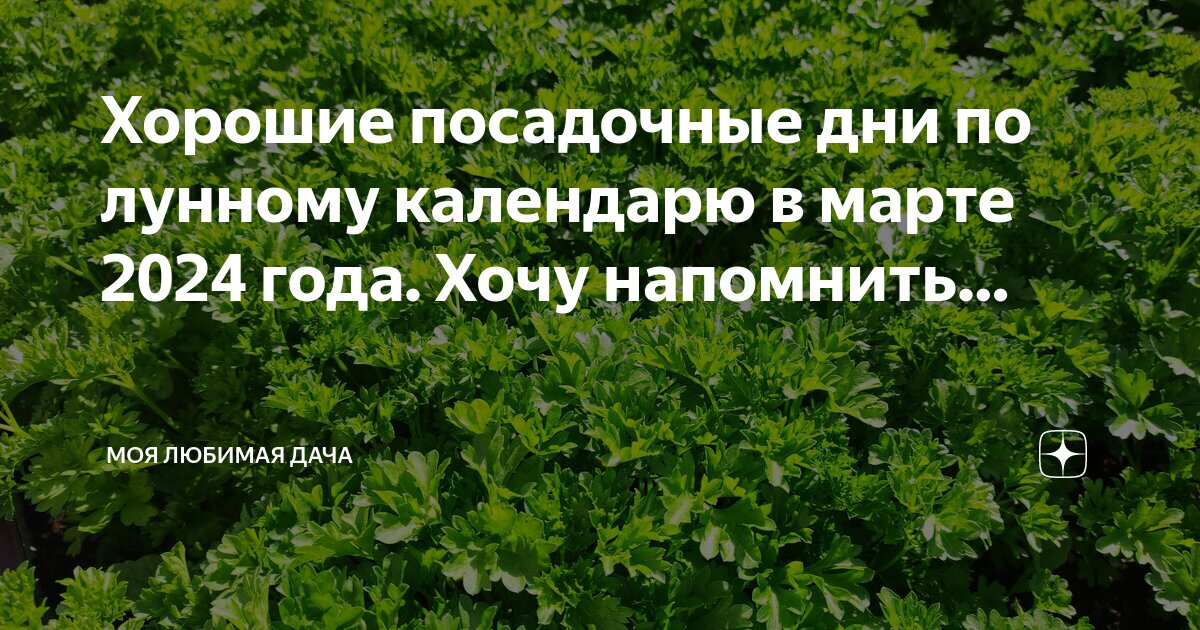 лунный календарь на 2021 год садовода и огородника. лунный календарь посевной на 2021 садовода и огородника. лунный календарь садовода. календарь посадок на 2024 лунный посевной. календарь посева семян на рассаду в 2022 году.