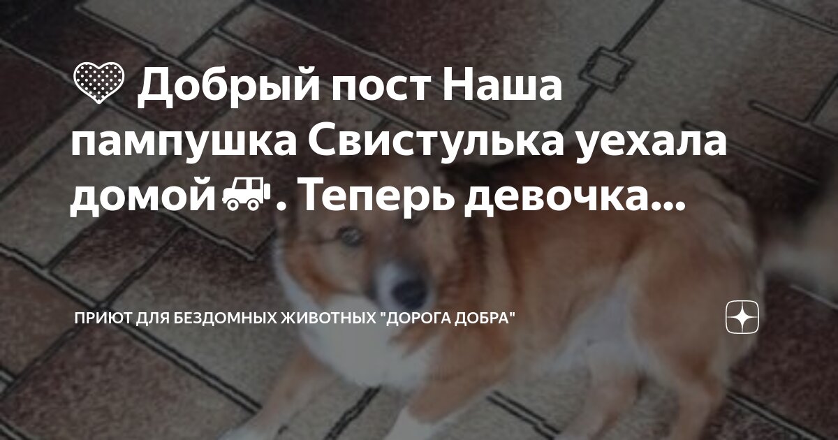 девушка с чемоданом на дороге. девушка уехала домой. девушка уехала домой. девушка уехала домой. чемодан для девочек.