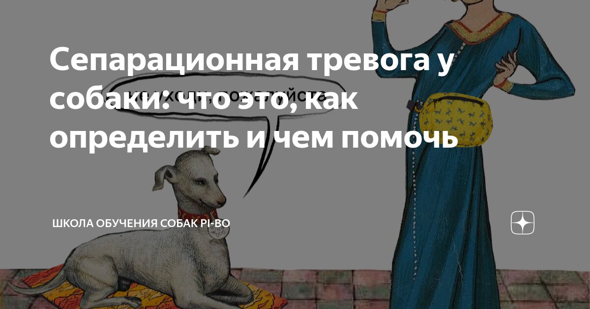 Сепарационная тревога у собаки: что это, как определить и чем помочь ...
