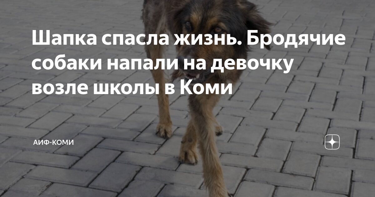 Ньюфаундленд собака спасает людей. Собака спасатель из воды. Собака спасает девочку. Собаки которые спасают людей из воды. Собака спасает девочку.