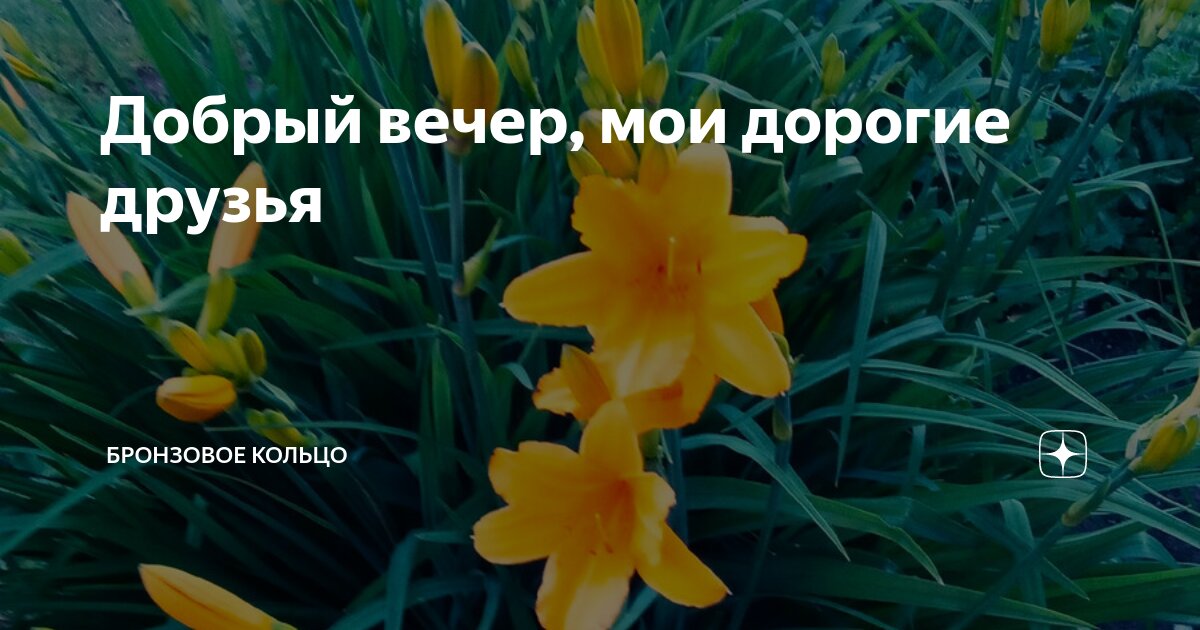 дорога добра текст. слова песни подружка моя. слова песни подружки. подружка песня слова. дорогие подруги мои песня текст.