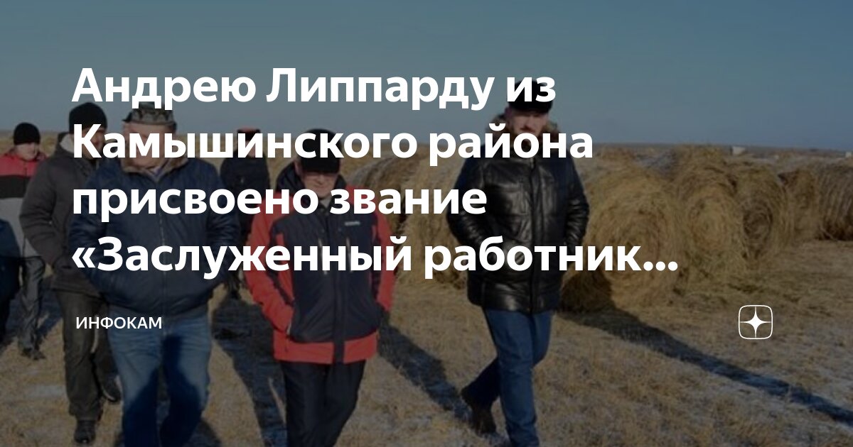 Камышинский историко-краеведческий музей камышин. Камышинский историко-краеведческий музей. Камышин волгоградская область краеведческий музей. Камышин 16. Камышинский историко-краеведческий музей камышин.