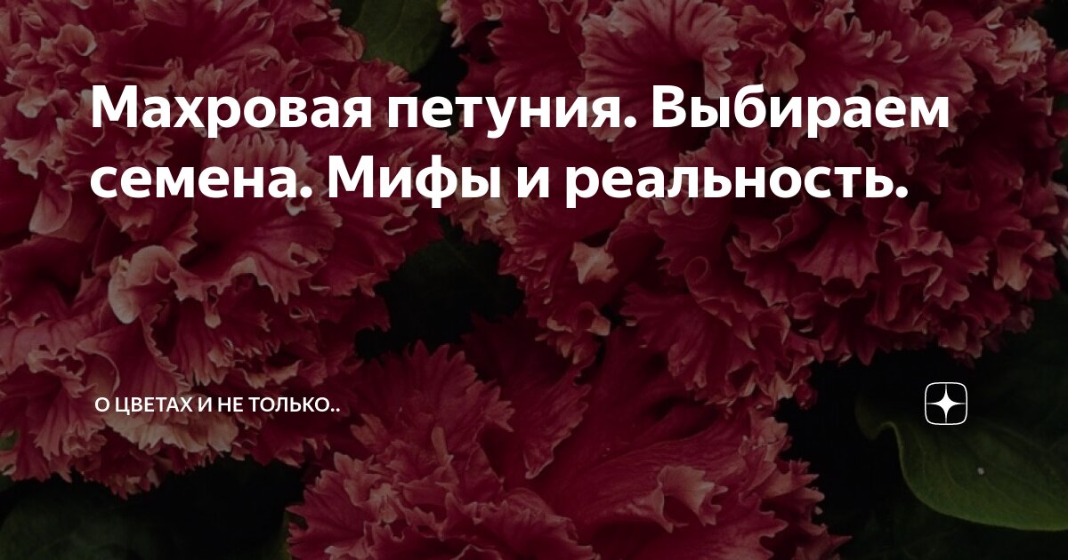 ходить реальность. ходить реальность. Richies plank experience vr. ходить реальность. тренажерка ожидание реальность.