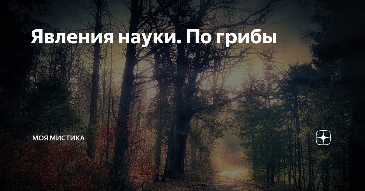 Явления жизни общества. Жизнь как явление. Феномен жизни человека это. Жизнь как явление. Радуга в природе.